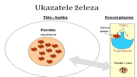 smrteln saturace|Laboratorní ukazatelé nedostatku nebo nadbytku železa